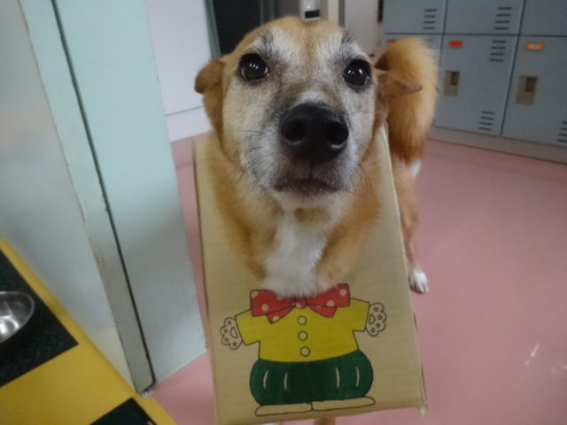 なんだなんだ！？