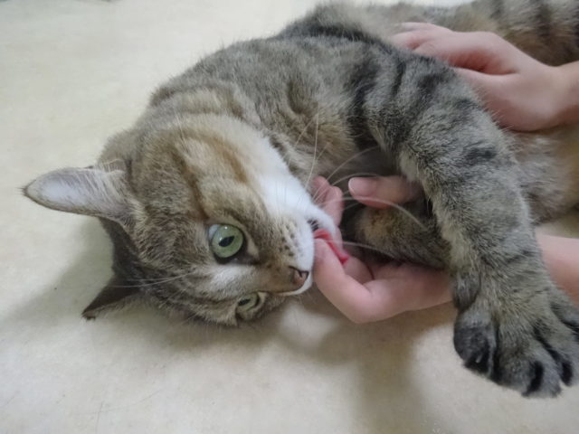 甘えたちゃん♡