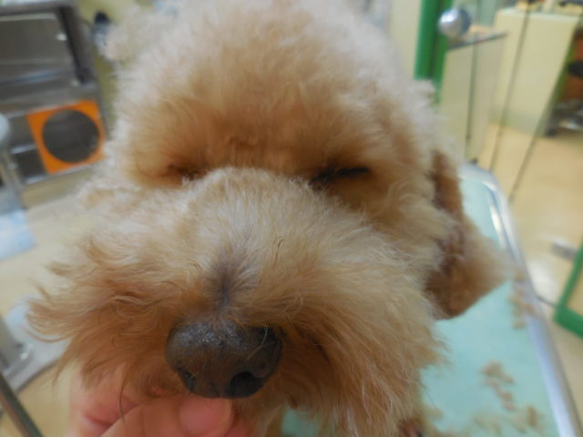 みんなかまってちゃん(*^^*)