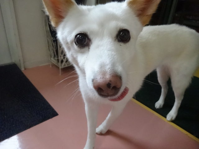 休診日の今日は…