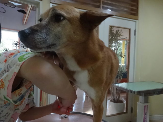 お手入れデー♪