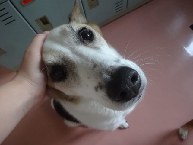 かまってちゃん♪