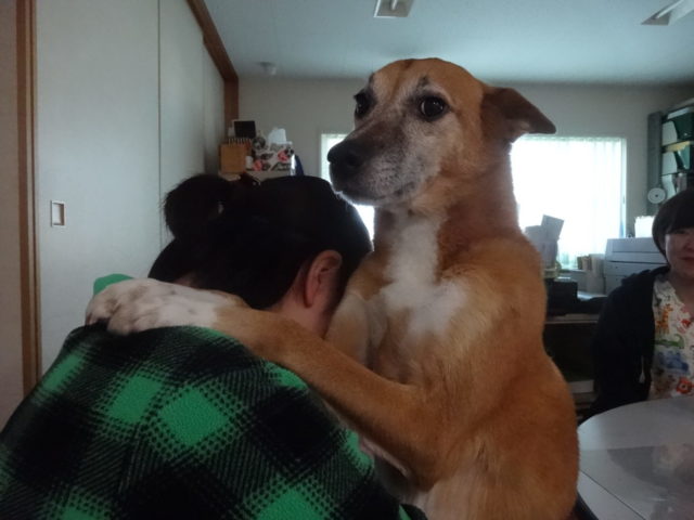 抱っこ☆