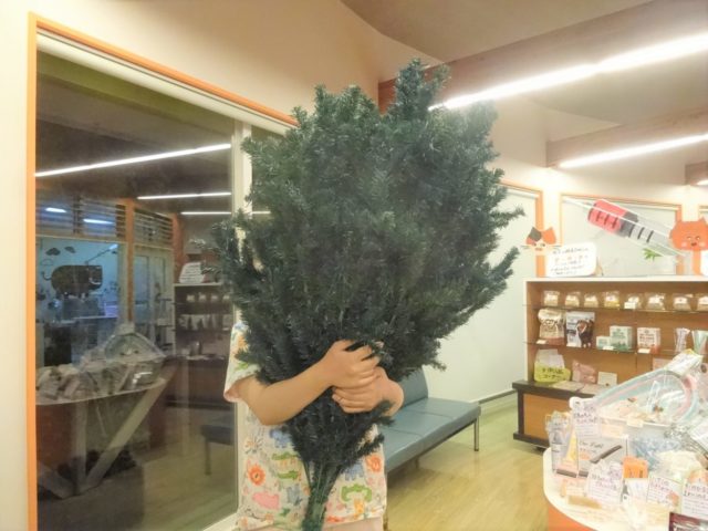 お片付け！