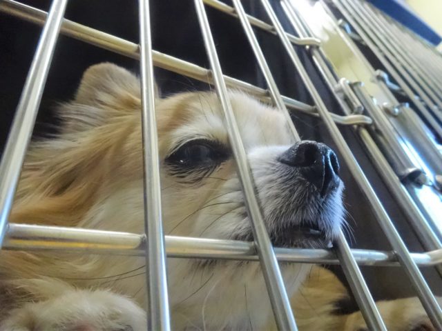お鼻ムニッ
