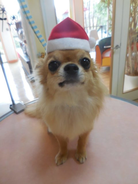 サンタさん大量発生！？