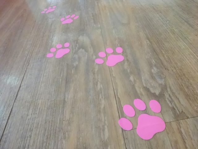 何個あるかな～？