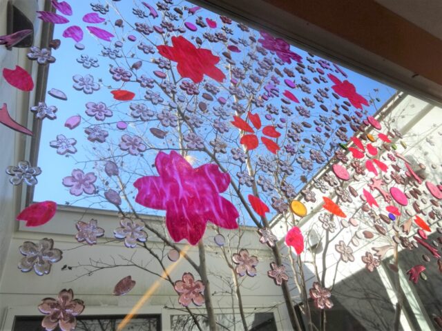 サクラ🌸
