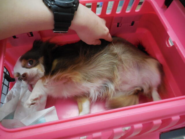 こんなところで(*´▽｀*)