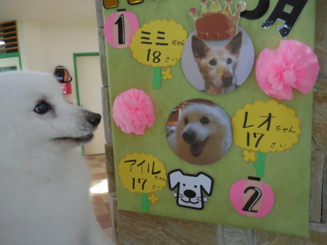 MND表彰おめでとう！