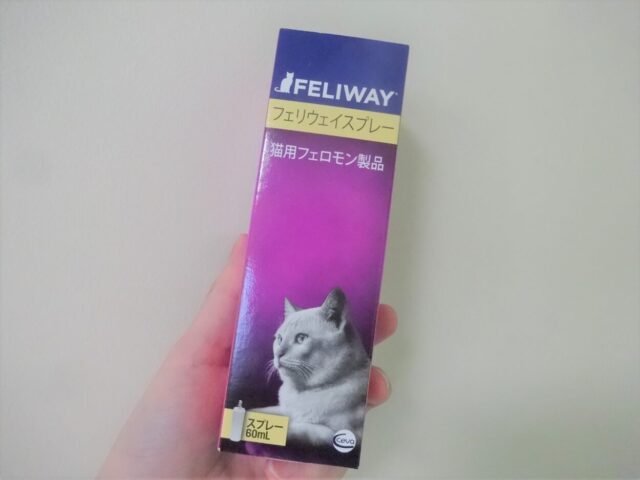落ち着く工夫