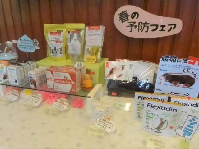 いろいろな予防