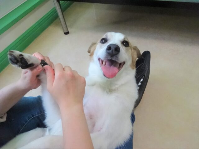 キレイキレイ♪