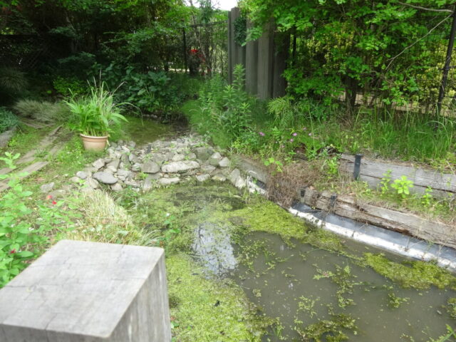 池After