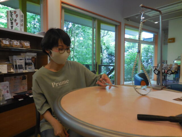 お手入れセミナー写真⑥