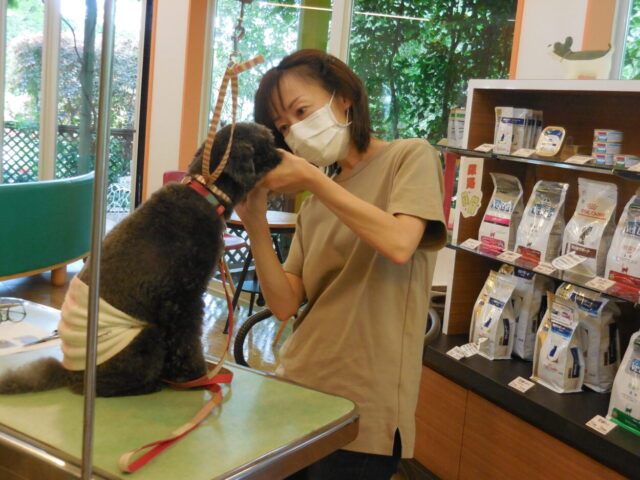 お手入れセミナー写真⑨