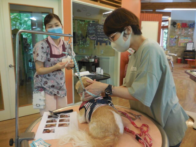 お手入れセミナー写真⑩