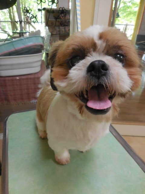 良い笑顔の珠珠ちゃん