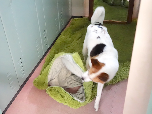 ブンブンするルーサー