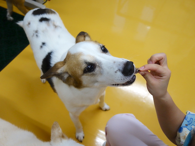 おやつを食べるルーサー