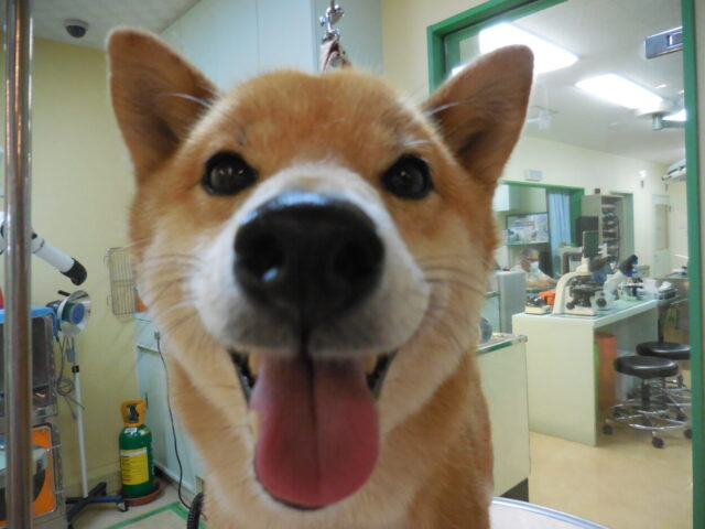 笑顔の三郎ちゃん