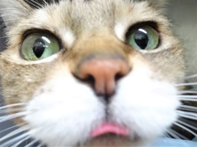 やられたッ！！