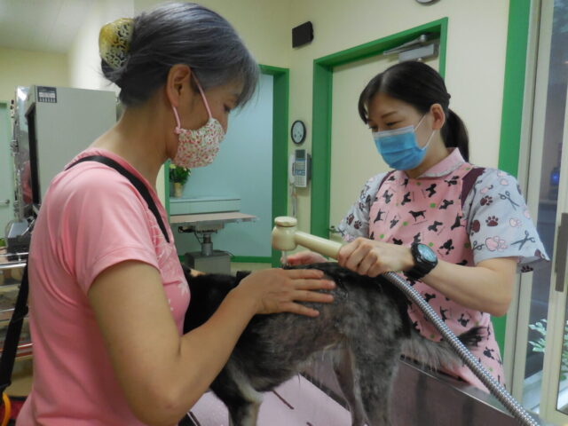 シャンプーセミナー実践中