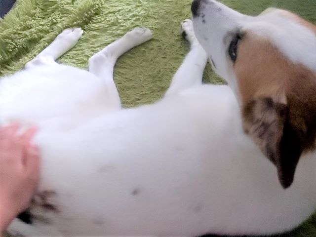 ムニッ☆