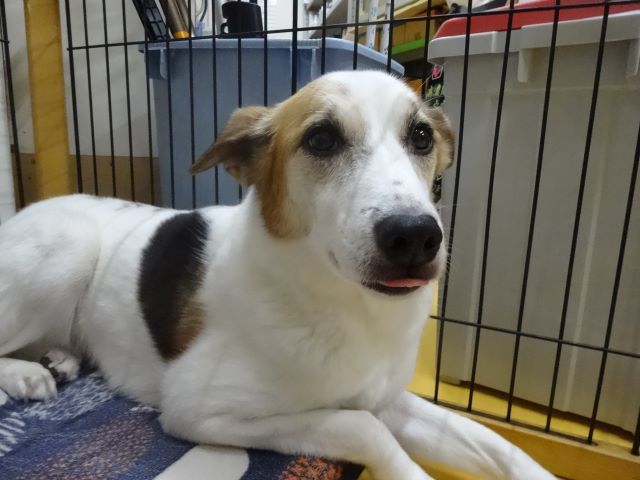 お留守番♪
