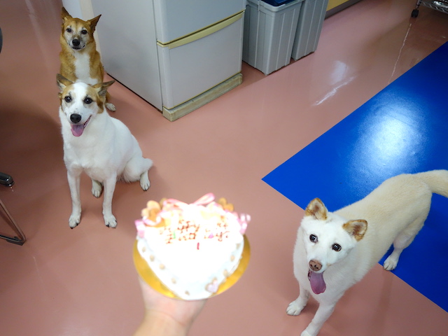 パーティー！