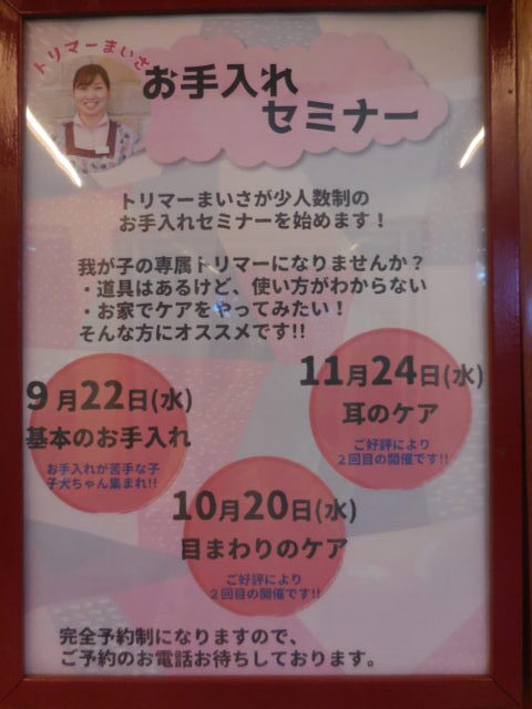 ☆お手入れセミナーのお知らせ☆