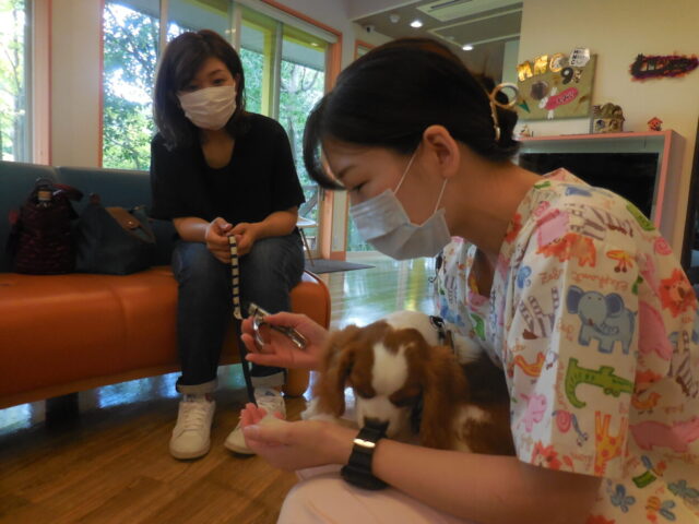 お手入れセミナー