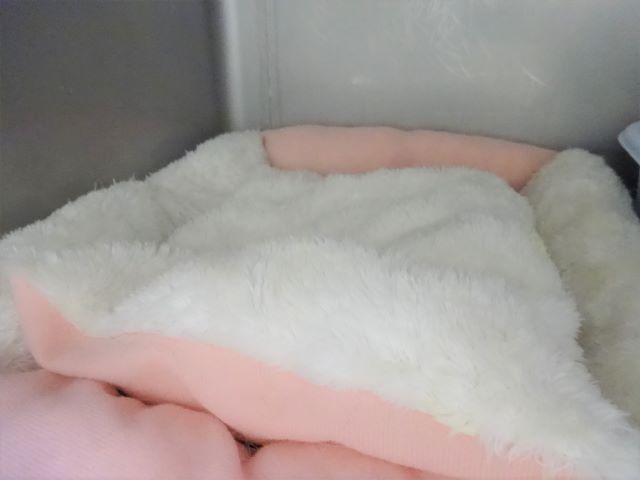 モコモコ～♪