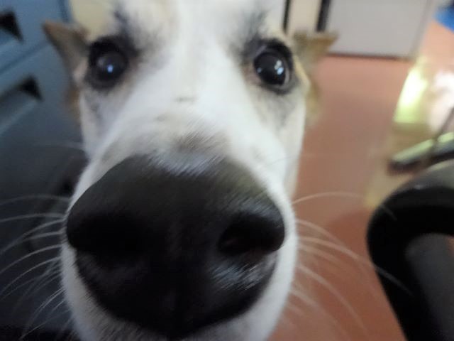 「何してるの～？」
