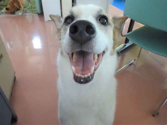 うひょ～♪♪