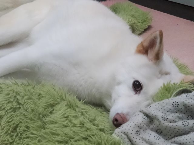 不思議