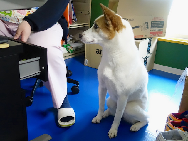 期待しているルーサー