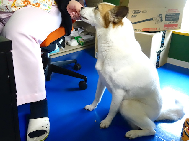 オヤツをもらうルーサー
