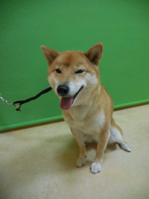 三郎ちゃん