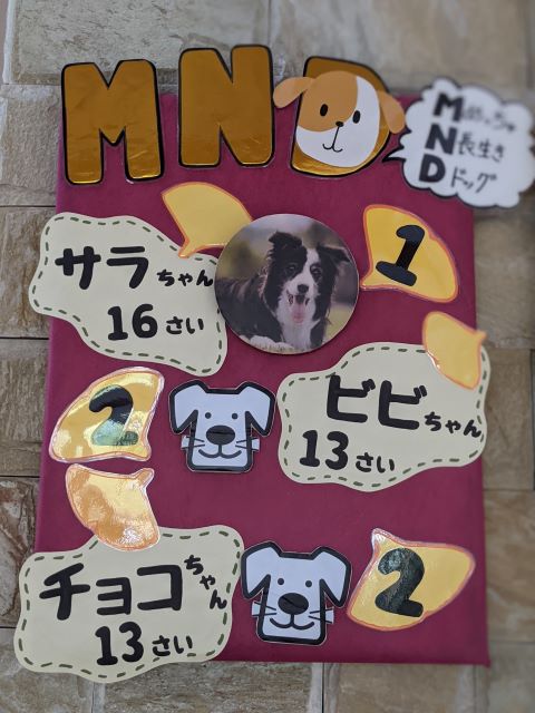 長生き☆彡