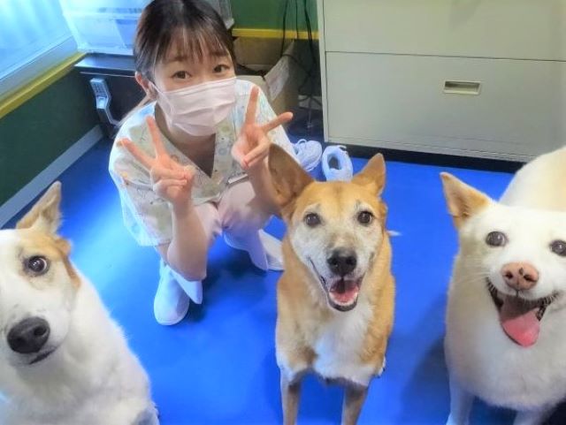 はじめまして😊
