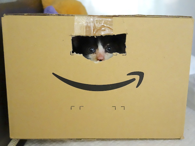 小窓からこんにちは