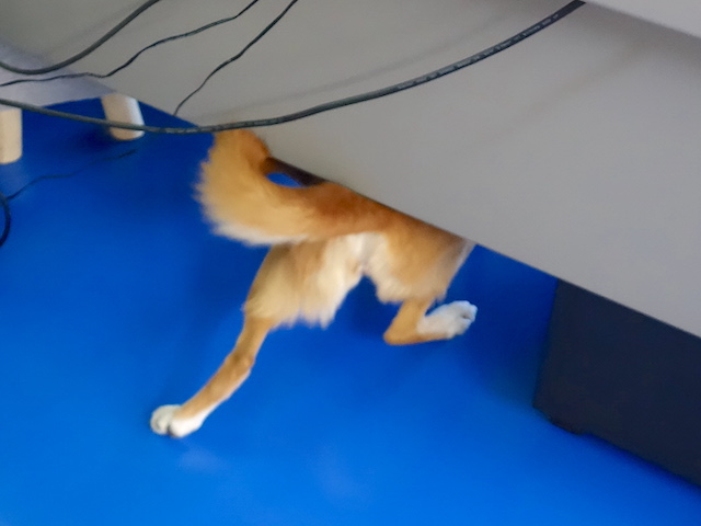 吸い込まれていく