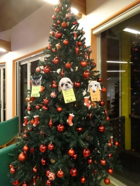 クリスマスツリー
