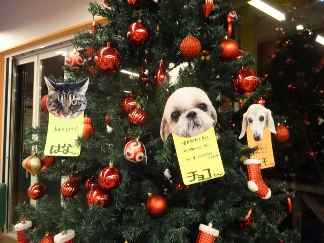 クリスマスツリー