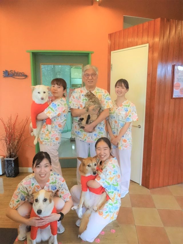 今年最後の日