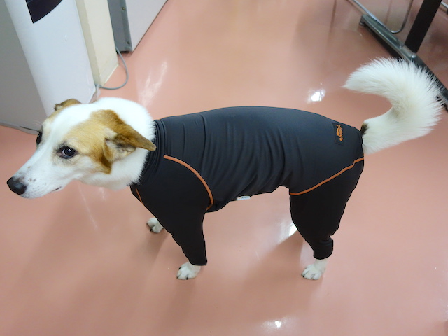 試着中のルーサー