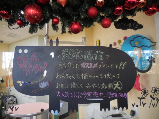 ごめんなさい🙇