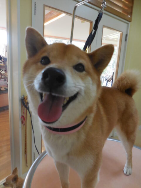 三郎ちゃん