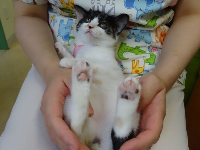 爪切り☆